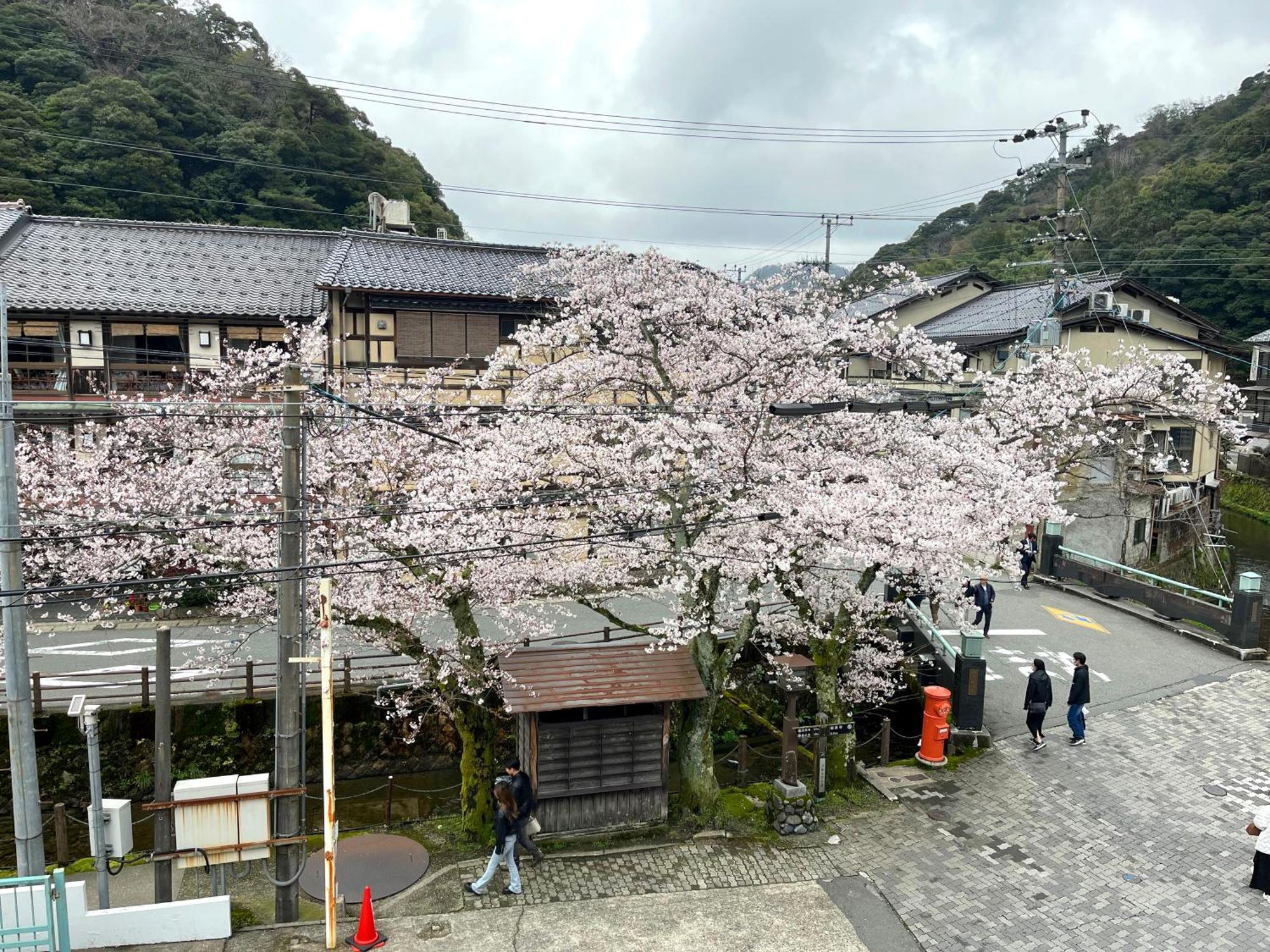 城崎温泉一棟貸し　旅宿yadokari 豊岡市 エクステリア 写真