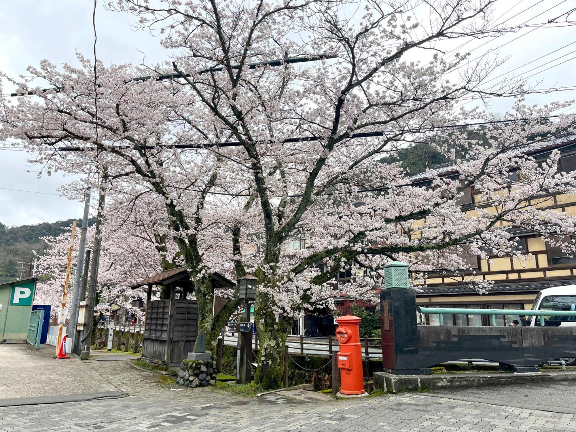 城崎温泉一棟貸し　旅宿yadokari 豊岡市 エクステリア 写真